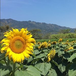 Meet your Posher, Celeste